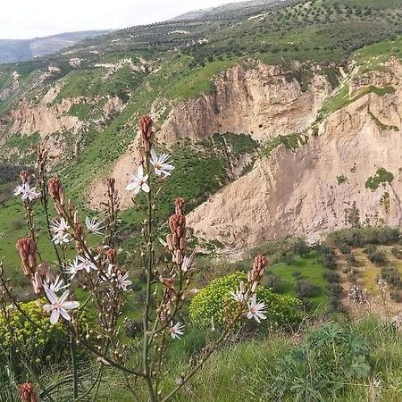 شقة سيلا Irbid Esterno foto