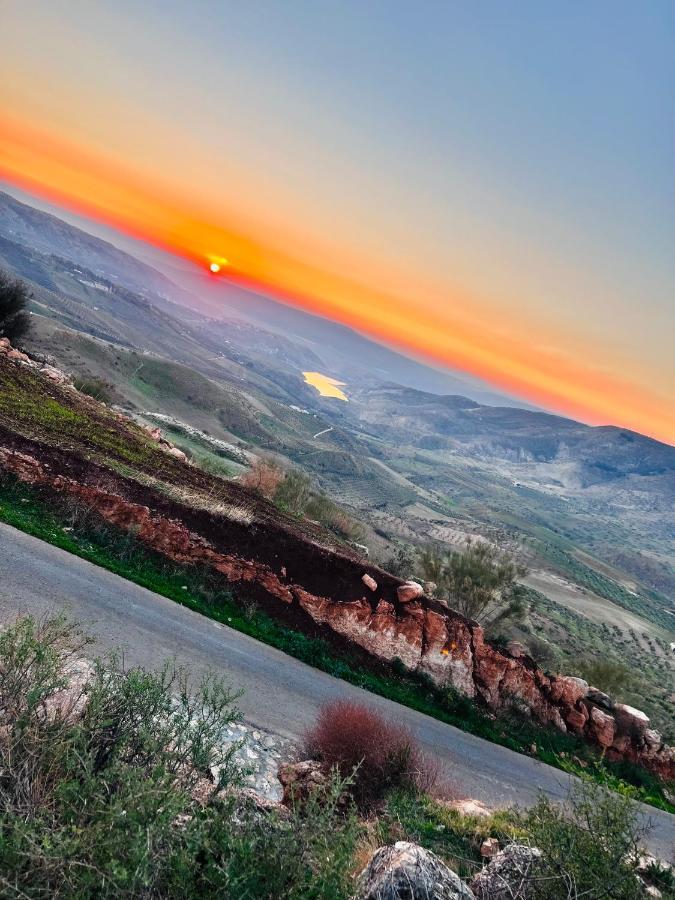 شقة سيلا Irbid Esterno foto